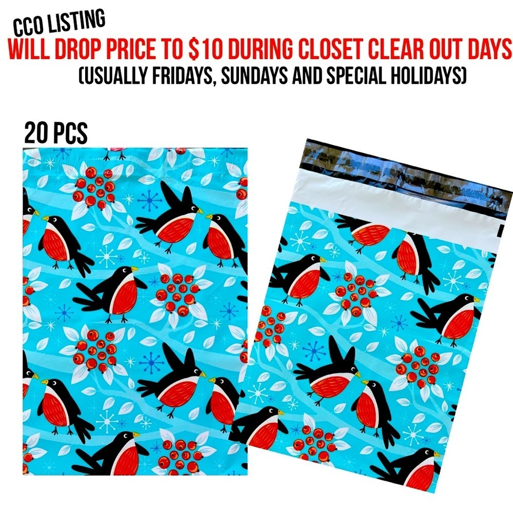 𝅺10X13 Mailers winter snow design price fixed at 10 CCO